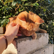 emz ٩(◕‿◕｡)۶