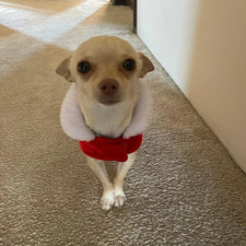 Chloe