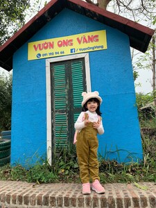 Dương Dương
