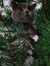 Jana_227