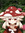 Annie
