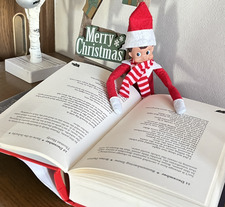 maple_squirrel 🐿🍁