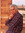 Essam Shawki