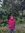 Anis.Wdst