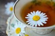 cam_omile