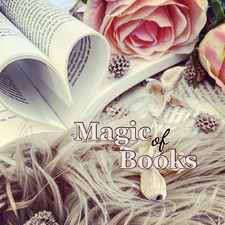 Magicofbooksnl