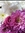 Nat_1709