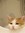 meow meow (wonderw_eirdo) | 1 comments