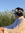 andrew | 3 comments