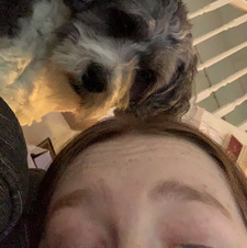 Daisy