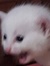 Rob