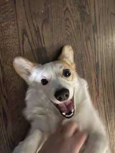 S.