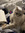 Colleen Wilson | 1 comments