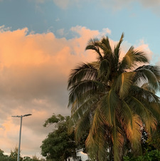 Sofía Arrieta Reyes