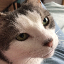 Mireille (readingwithmrleo)