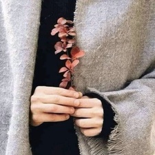 أميرة الشافعي