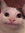 Shub T