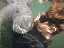 Christopher Howington