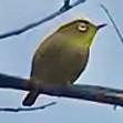 Mejiro