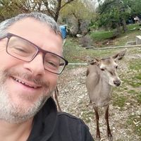 Παναγιώτης Μαρκόπουλος