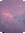 Aster 🌠 | 3 comments
