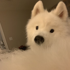 Elizabeth Latzka Mimms