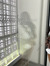 Shami_C