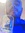 Haydn W...