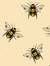 Fetchbee