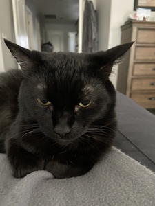 Christopher Giordani