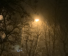 ೄྀ࿐ Nela ˊˎ- 