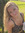 Hannah  Hawkes