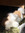 ella | 9 comments