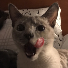 merchee