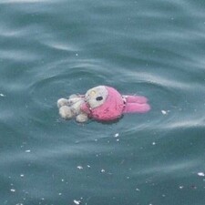 sofia ♡‧₊*:・ 