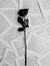 Lizzyy.h