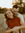 member photo member photo