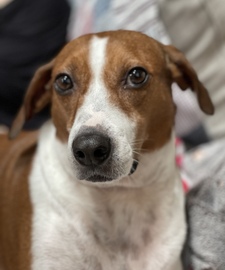 Dody Fritsch MacPherson