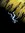 Pendulous