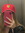Pola
