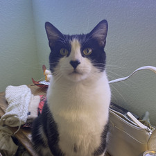 elena*･゜ﾟ･*:.｡..｡.:*･'(*ﾟ▽ﾟ*)'･*:.｡. .｡.:*･゜ﾟ･*