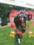 xxpaard...