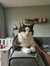 Lieke T...