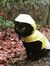 CattINa_raincoat