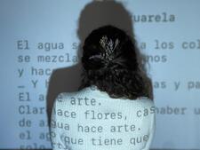 María
