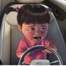 Beautiful Disaster ♊️ Kay C