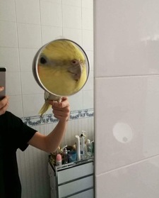 Javiera Jara Herrera