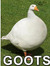 George