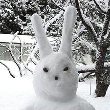 Артём Багинский