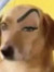 Bua